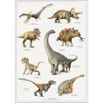 北欧ブランド デンマーク A4 アート ポスター 恐竜 ダイナソー おしゃれ   KOUSTRUP &amp; CO. - DINOSAUR 恐竜
