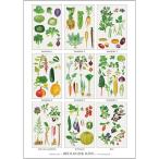 北欧ブランド デンマーク A4 アート ポスター ボタニカル 植物画 ベジタブル 野菜 おしゃれ  KOUSTRUP &amp; CO. - Organic garden 有機野菜