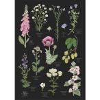 北欧ブランド デンマーク A2 アート ポスター ボタニカル 植物画 花 フラワー おしゃれ KOUSTRUP &amp; CO. - Monastery Garden 修道院の庭園