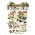 北欧ブランド デンマーク A4 アート ポスター カントリー 動物 動物園  おしゃれ   KOUSTRUP &amp; CO. - Animals of the farm 農場の家畜
