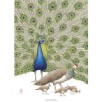 北欧ブランド デンマーク A4 アート ポスター 動物 動物園 アニマル かわいい おしゃれ KOUSTRUP &amp; CO. - Peacock 孔雀