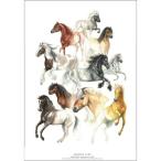 北欧ブランド デンマーク A2 アート ポスター 馬 モダン おしゃれ  KOUSTRUP &amp; CO. - Horse Life 馬の生活