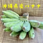 【期間限定】無農薬 沖縄県産バナナ 1kg前後