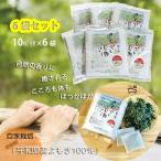 6 пакет комплект ... горячая вода .... час Ehime префектура . мир остров производство yomogi100% местного производства ... горячая вода купальный упаковка 