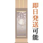 掛軸 (掛け軸) 春用 夜桜 緒方葉水 