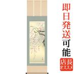 掛軸 (掛け軸) 春用 桜花 森山観月 尺三立 約横44.5×縦164cm g4565 春 春掛 春掛け 花鳥 お祝い 御祝 贈答 贈り物