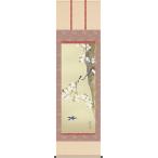 掛軸 (掛け軸) 桜に小禽図 酒井抱一 尺五立 約横54.5cm×縦190cm g6237 KZ3G9-092 日本画 巨匠 お祝い 御祝 贈答 贈り物