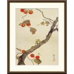 酒井抱一 柿に小禽図 （F8サイズ）（紐・フック付） 日本の名画 約縦61×横49.5cm インテリアアート（額絵） 伝統の日本画 g8637 J2-088 額入 リビング 玄関
