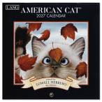 2027 год LANG Mini календарь AMERICAN CAT 18×18cm импорт версия орнамент кошка животное 