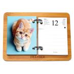 do отдых 2027 год 365 день день ... календарь CATS кошка настольный управление расписанием праздничный день наклейка имеется 