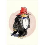  открытка книга с картинками pa DIN тонн чёрный . жакет . надеты ...150×105mm