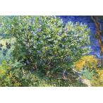  открытка go ho lilac втулка 150×105mm сообщение карта mail открытка искусство 