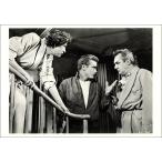  открытка je-mz* Dean ( мужчина . super ) причина нет ..(1955 год фильм ) mail открытка монохромный фотография 