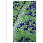 ポストカード アート 福田平八郎 花菖蒲 ハナショウブ 148×105mm メッセージカード 郵便はがき