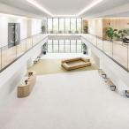 . слой biniru пол сиденье FS пол дракон m premium morutaruNW можно выбрать 4 цвет восток li20FL801~20FL804(3m и больше 10cm единица измерения распродажа )