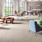 タイルカーペット 店舗施設用 グリッチルF DT-5070 F-eco 選べる2カラー サンゲツ DTシリーズ DT-50701〜DT-50702（ケース販売）