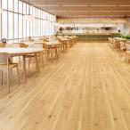 . слой biniru пол сиденье FS вставка .aNW можно выбрать 21 цвет восток liFS4219~FS4239(3m и больше 10cm единица измерения распродажа )