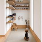 ( cut образец ) подушка пол жилье для домашнее животное соответствует камень глаз style можно выбрать 4 цвет li licca la2025-2028 LHP81617~LHP81620(A4 размер степень )