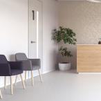 . слой biniru пол сиденье одноцветный es дракон m можно выбрать 17 цвет солнечный getsuS пол PP-24301~PP-24317 (1m и больше 10cm единица измерения порез продажа )