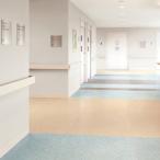 ( cut образец ) вспененный . слой biniru пол сиденье одноцветный S K пол можно выбрать 10 цвет солнечный getsuS пол SK-24447~SK-24456 (A4 размер степень )