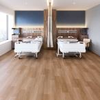 . слой biniru пол сиденье HS ho spi дракон mNW можно выбрать 18 цвет восток liTS2401~TS2418(3m и больше 10cm единица измерения распродажа )