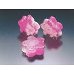 a... слива 56 входить (ume агар-агар японские сладости )[ рефрижератор ]