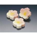 fu... отруби [50 входить ] слива (... нама-фу ) [ рефрижератор ]