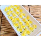  львиный зев большой ( gold gyo...... еда для цветок sashimi .. префектура Аичи производство ) [ рефрижератор ]