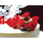  мини роза ( Mini роза bell rose bro Sam еда для цветок sashimi .. префектура Аичи производство ) [ рефрижератор ]