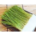 . лук порей (. лук-батун . лук порей . лук-батун местного производства Shizuoka производство * префектура Аичи ) [ рефрижератор ]