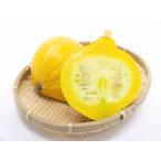  Kanagawa префектура три . половина остров производство Colin ключ ( юг . салат тыква тыква )[ обычная температура ]