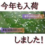 商品画像2