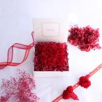 プリザーブドフラワー赤カーネーショ...