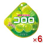 味覚糖 コロロ マスカット グミ 48g×