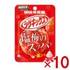 味覚糖 シゲキックス 梅ソルト 20g×10入 (すっぱい グミ) (ポイント消化) (np-2)(賞味期限2026.3月末) (レ) メール便全国送料無料*