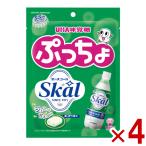  тест . сахар .... пакет Skal 67g×4 пакет входить ( самый короткий этот день отгрузка )( отметка ..) (np) ( срок годности 2027.2 конец месяца ) (re)* почтовая доставка бесплатная доставка по всей стране 