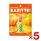 ロッテ カジッテ ミカン&レモン 80g×5袋入 (最短当日出荷) (ポイント消化) (np) (賞味期限2026.10月末) (レ) メール便全国送料無料
