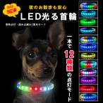 首輪 光る 犬 散歩用 夜用 レインボ