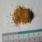 コルク素材 コルク粒 (大) 約50g入 コルクパウダー