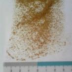 コルク素材 コルク粒 (小) 約50g入 コルクパウダー