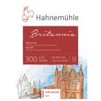  - -ne Mu re Mini накладка акварель бумага 300gsm 12 листов Britannia 