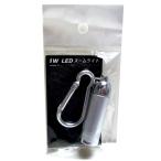 1W LED zoom свет * серебряный 