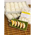 特別半額セール! 絶品ぎょうざ10人前どーんとお届け♪岐阜夢餃子製作所【生冷凍】岐阜 餃子 お取り寄せ 冷凍