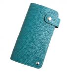 AWESOME(o- Sam ) скользящий футляр для карточек (20 шт. входит ) голубой SCC-04