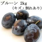 【送料無料】青森県産 生プルーン ほほえみ(訳あり) 2kg ※沖縄・離島は送料別途1000円+税加算