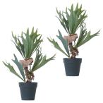 フェイクグリーン