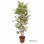 人工観葉植物 メダケ 150cm 高さ150cm （P207-sk1065)…