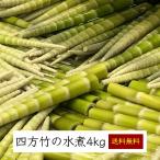 [THE TIME,.ZIP!. брать вверх .. сделал l2024 отчетный год в продаже ] Kochi префектура 4 person бамбук. вода . лед .4kgl 4 person бамбук бамбук. . побеги бамбука takenoko. осень . вода . сырой 