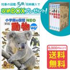 【おまけ付】小学館の図鑑NEO［新版］動物　DVDつき（収納BOX付・送料無料・条件有）