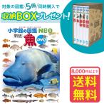 【おまけ付】小学館の図鑑NEO［新版］魚　DVDつき（収納BOX付・送料無料・条件有）